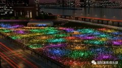曼哈顿自由广场Bruce Munro灯光装置作品「光之原野